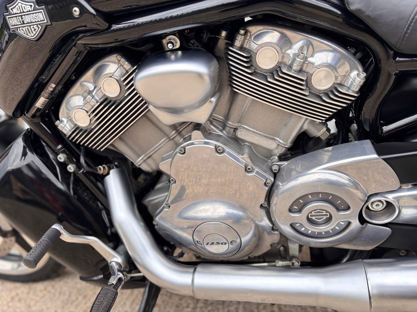 Harley-Davidson V-Rod 1247 VRSCF Muscle