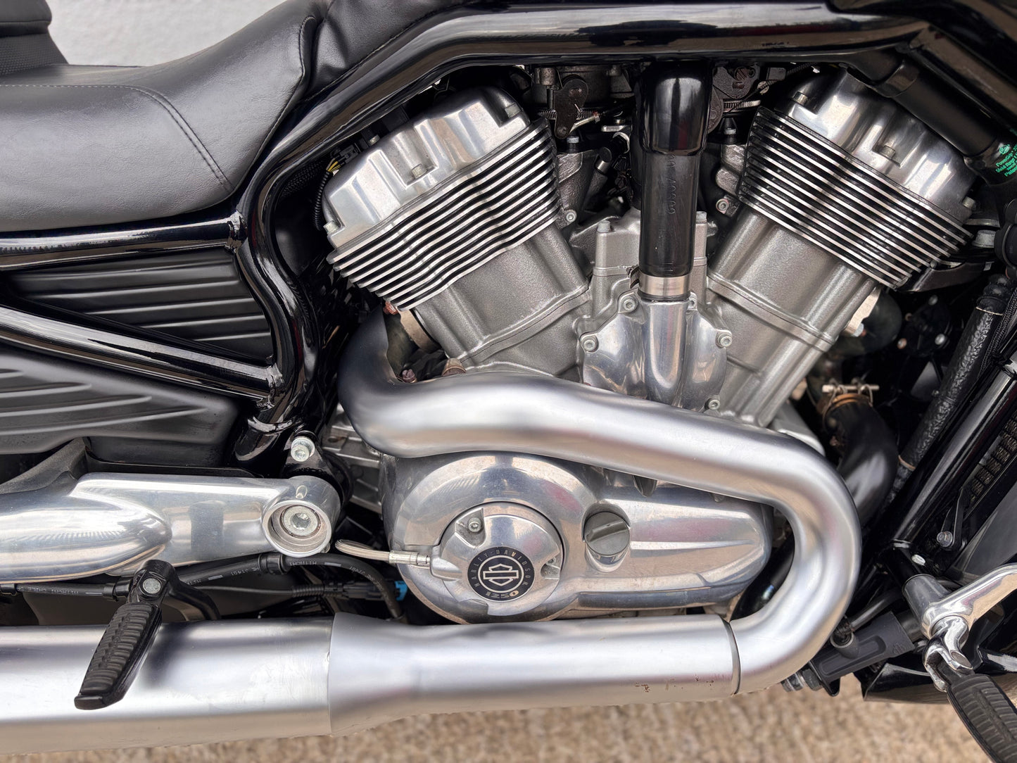 Harley-Davidson V-Rod 1247 VRSCF Muscle