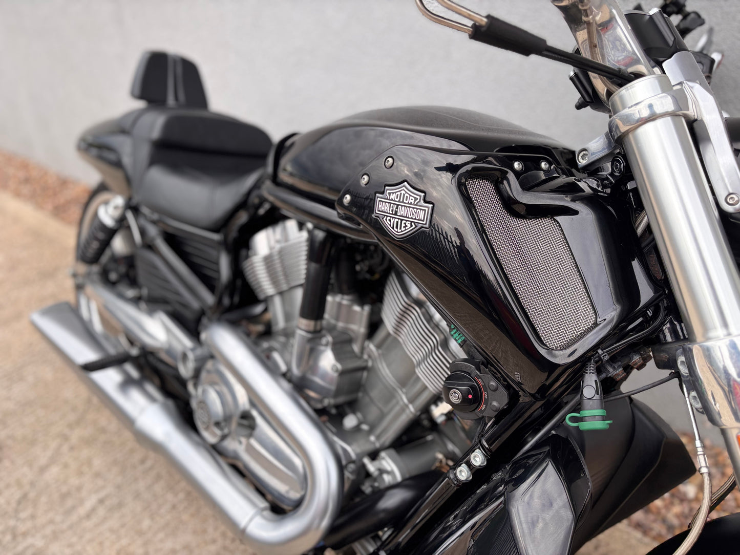 Harley-Davidson V-Rod 1247 VRSCF Muscle